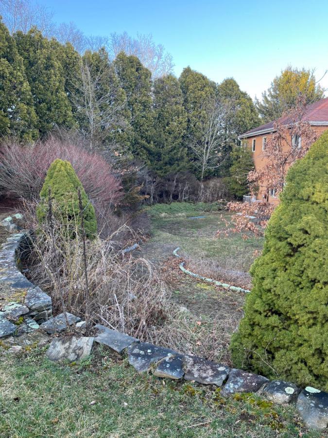 Belvedere Mystic Bagian luar foto